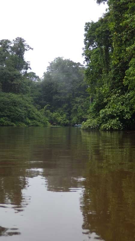CR Duering 042Tortuguero 48