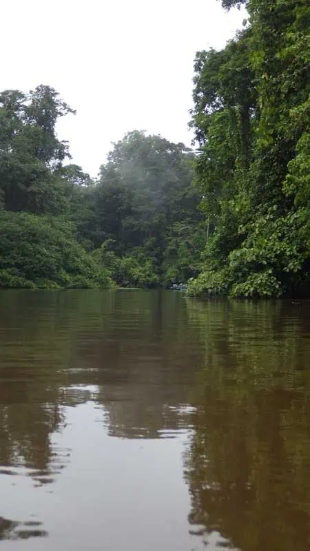 CR Duering 042Tortuguero 48