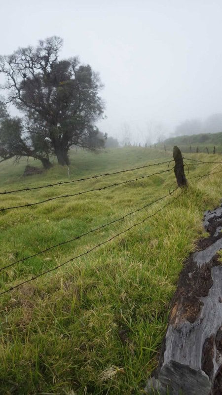 CR Duering 076Turrialba 01