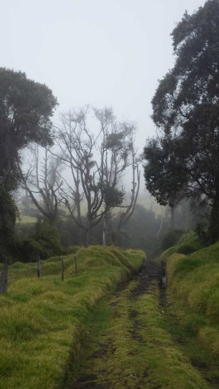 CR Duering 076Turrialba 05