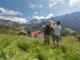 Roter Hahn