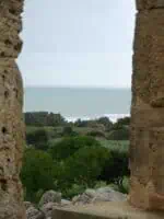 Verdura ©Duering 34