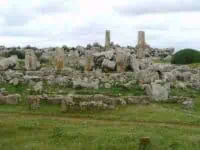 Verdura ©Duering 36