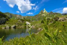 Kräuter und Blumenparadies c TVB Obertauern