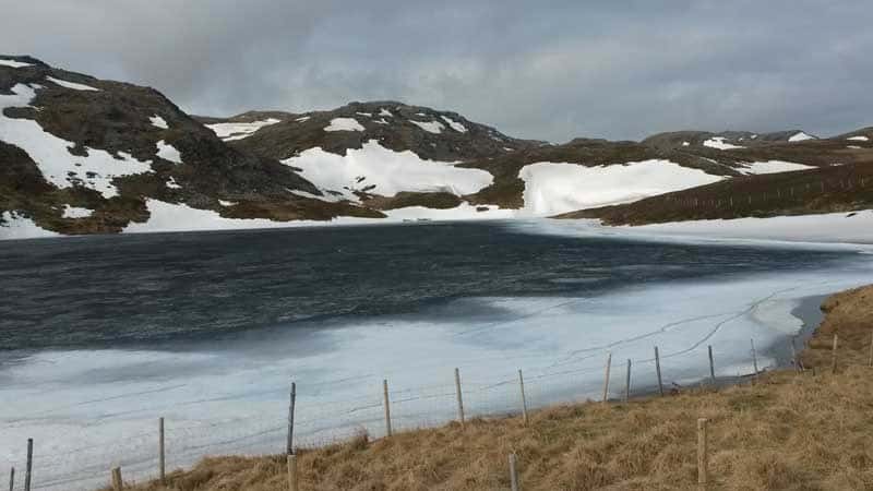 Hurtigruten ©Duering 011