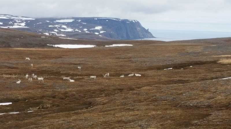 Hurtigruten ©Duering 038