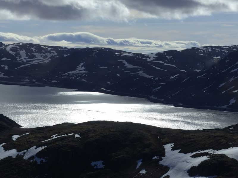 Hurtigruten ©Duering 083