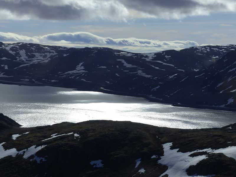 Hurtigruten ©Duering 083