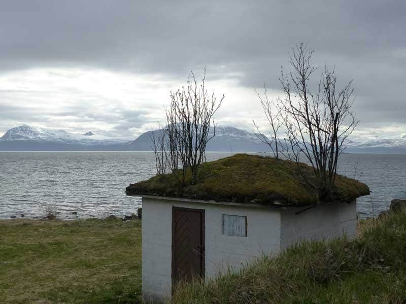 Hurtigruten ©Duering 094