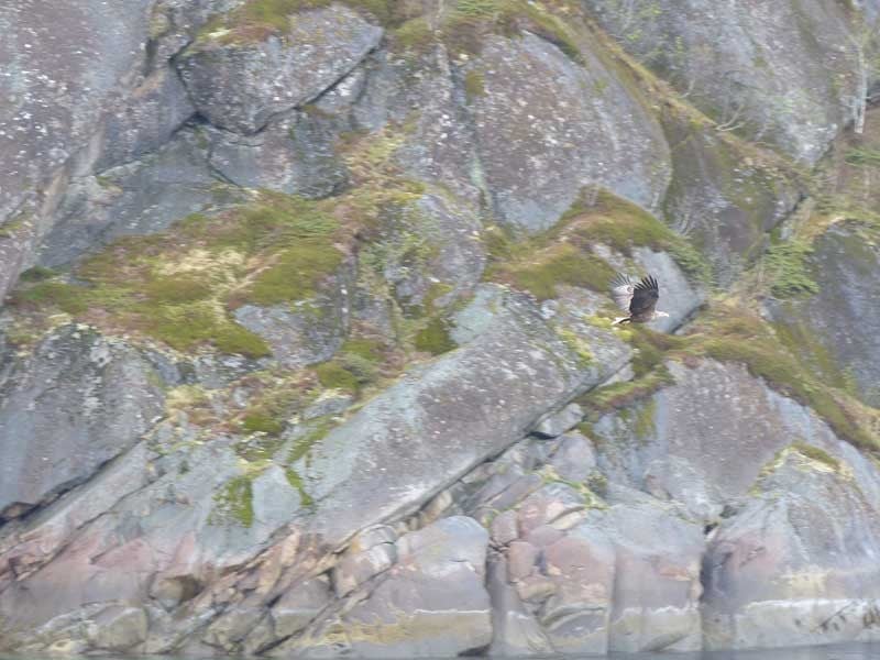 Hurtigruten ©Duering 104