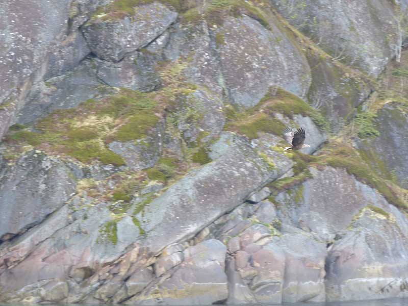 Hurtigruten ©Duering 104