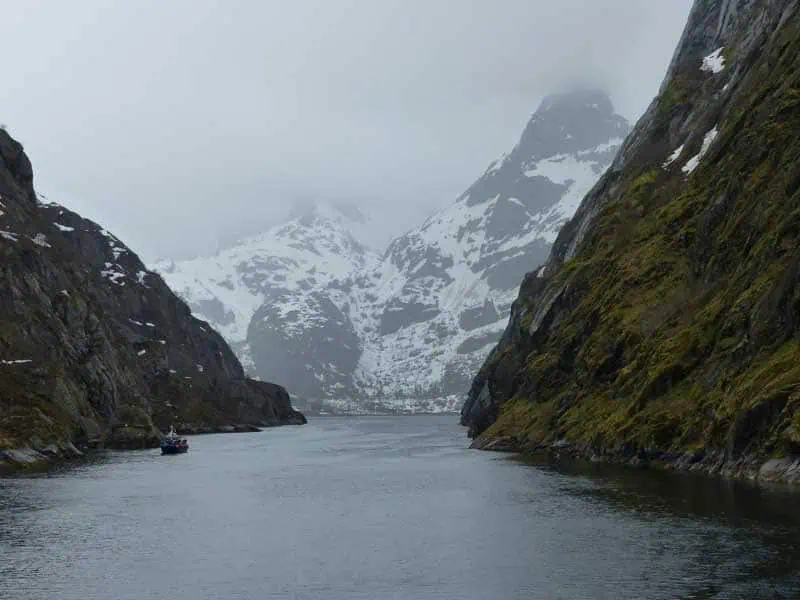 Hurtigruten ©Duering 108
