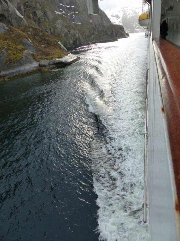 Hurtigruten ©Duering 118