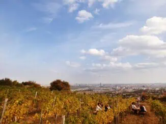 Wien Blick auf Wien und beheimatet das sagenhafte Agnesbründl cWienTourismus Peter Rigaud