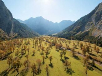 Der Große Ahornboden im Alpenpark Karwendel ©Tirol Werbung