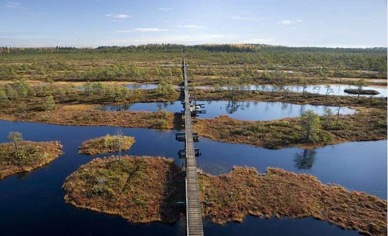 Hochmoor in Estland c visitestonia