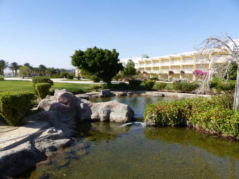 Aegypten Hurghada 062 ©Duering
