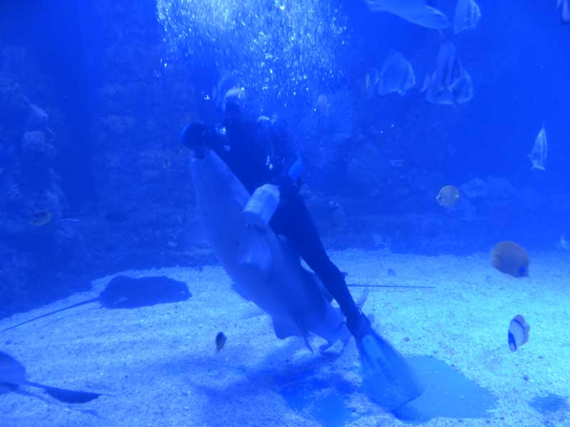 Aegypten Hurghada 077 ©Duering
