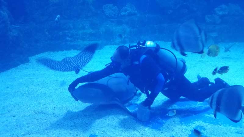 Aegypten Hurghada 187 ©Duering