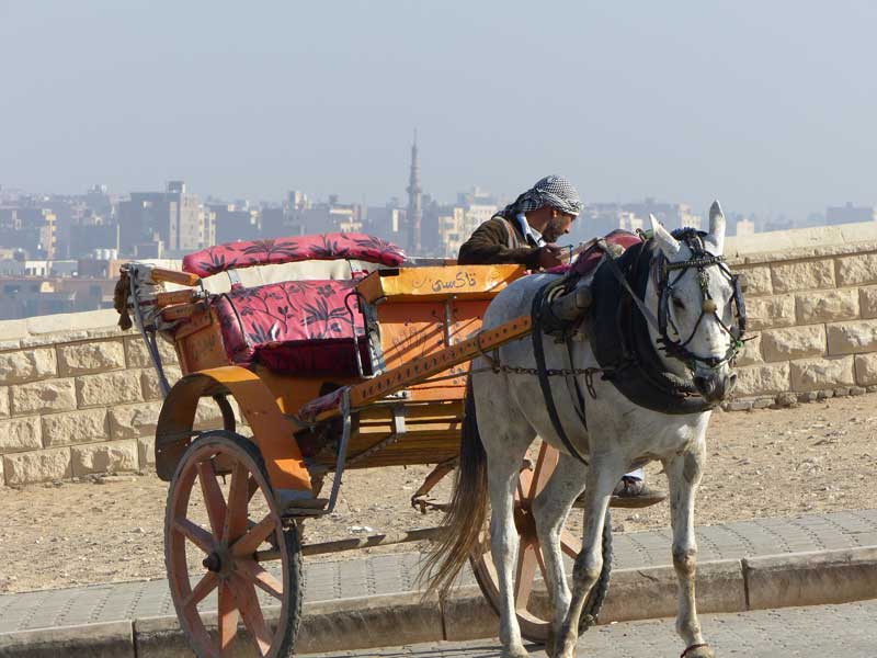 Aegypten Kairo 001 ©Duering