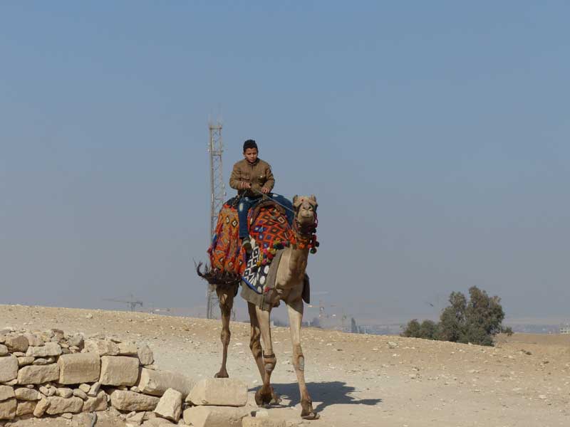 Aegypten Kairo 002 ©Duering