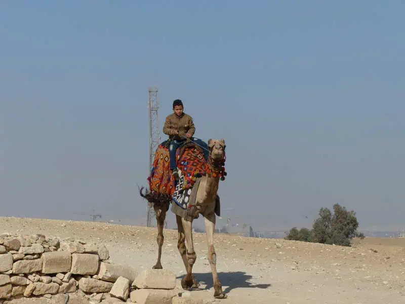 Aegypten Kairo 002 ©Duering