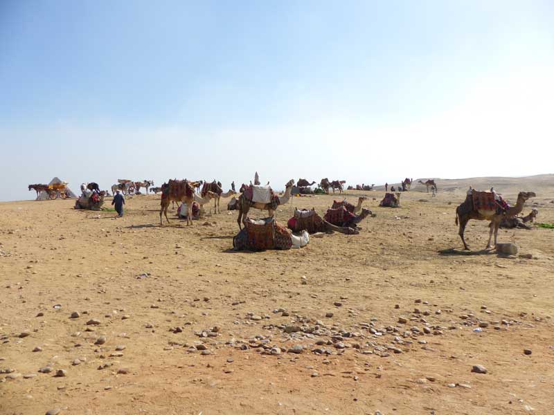 Aegypten Kairo 009 ©Duering