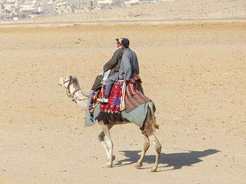 Aegypten Kairo 012 ©Duering