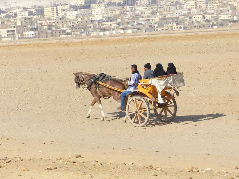 Aegypten Kairo 015 ©Duering