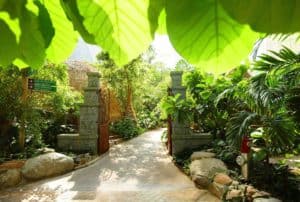 Regenwald ©Tropical-Island