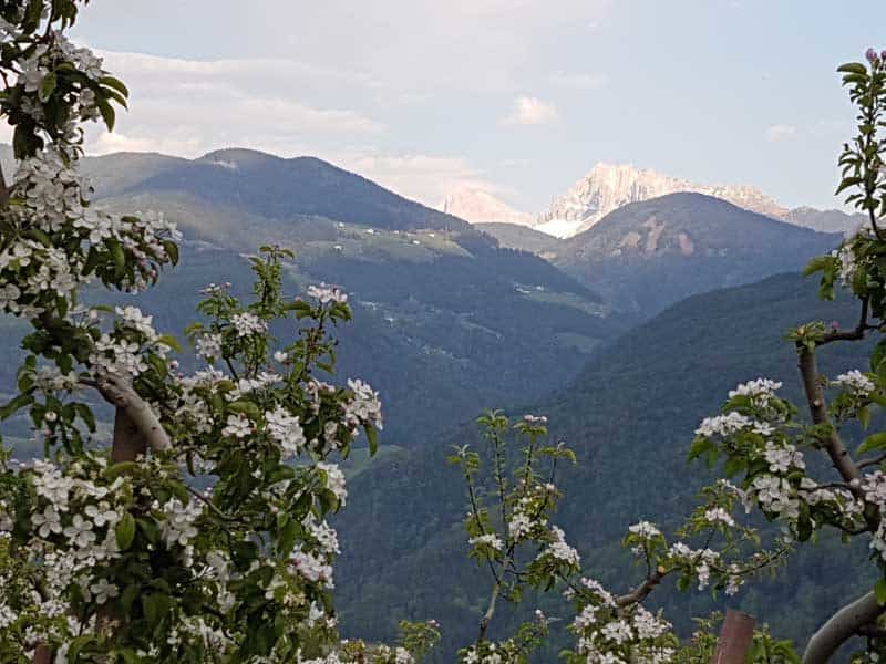 Region Klausen ©Detlef Düring 06