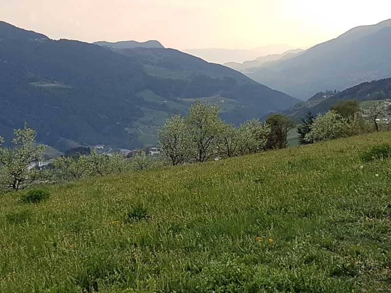 Region Klausen ©Detlef Düring 07