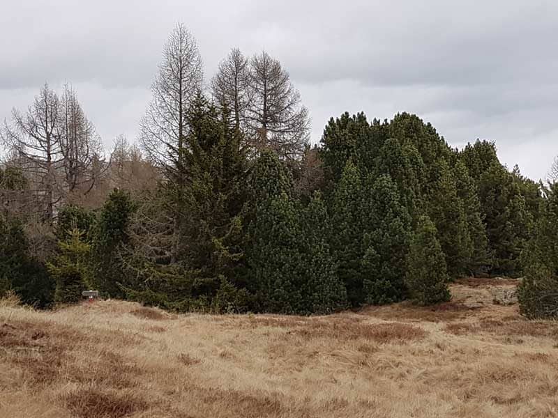 Region Klausen ©Detlef Düring 22