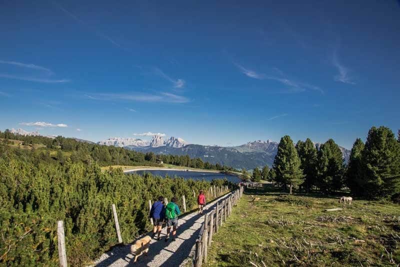 Wandern mit Hund ©Helmut Moling TVB Region Klausen