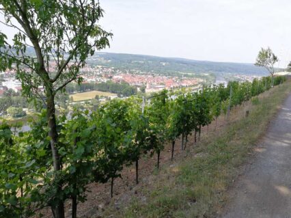 Churfranken ©Detlef Düring 30