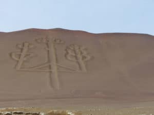 Ballestas Inseln Peru ©Duering 113
