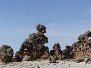Bosque de Piedras Peru ©Duering 309