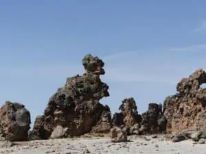 Bosque de Piedras Peru ©Duering 309