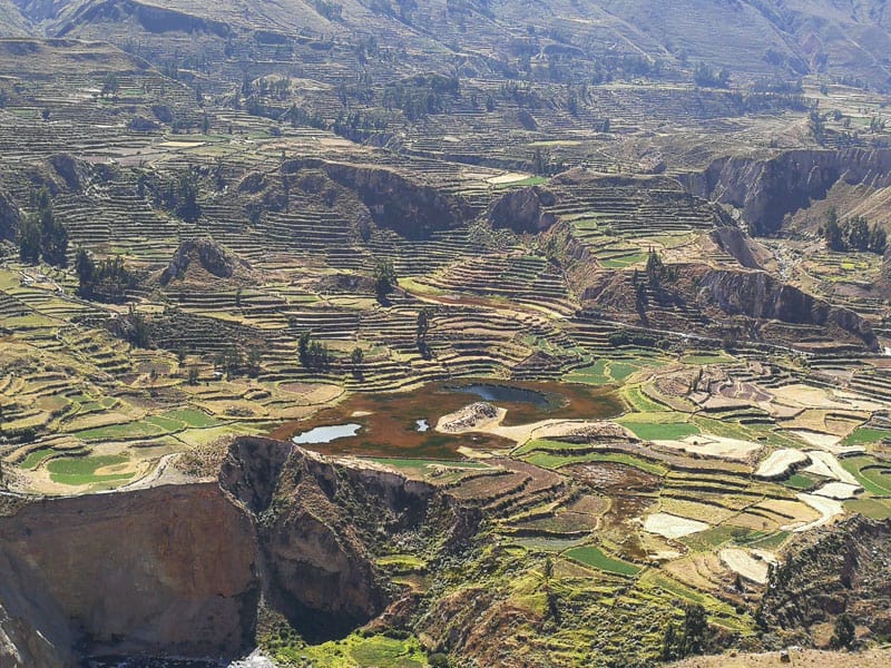 Colca Tal Peru ©Duering 39740