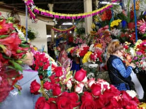 Cusco Peru ©Duering 579