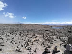 Hochebene Pampa de Toccra Peru ©Duering 335