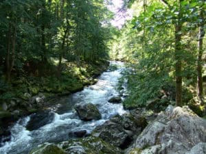 Wildbach ©Tourismusverband Ostbayern
