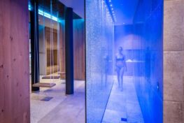 Bayerwaldresort Hüttenhof Schaukeln im Wellnessbereich