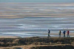 Hotspot Terschelling