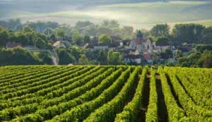 Cote des Bars Chervey vignoble village ©Didier Guy