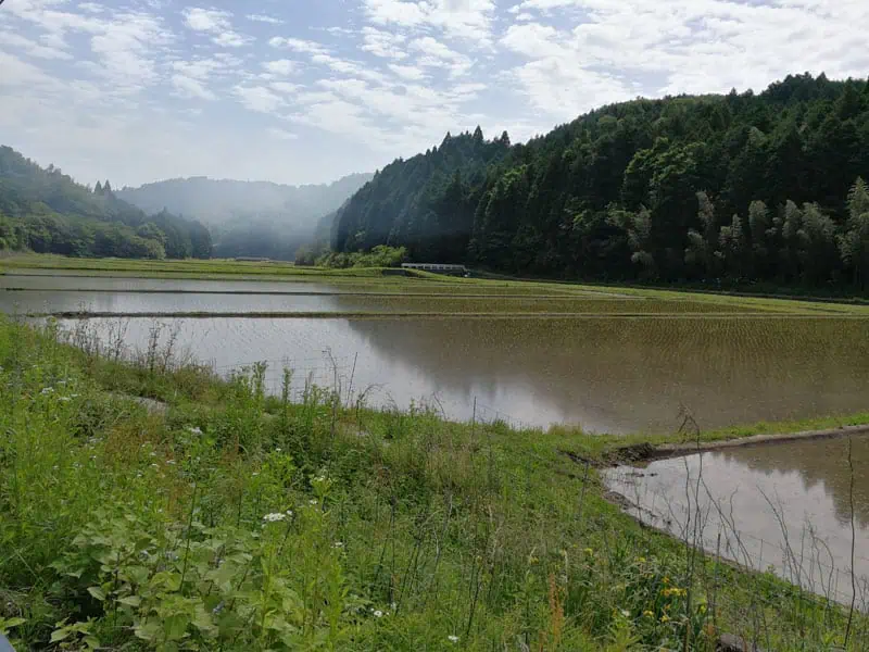 036 Japan ©Detlef Duering