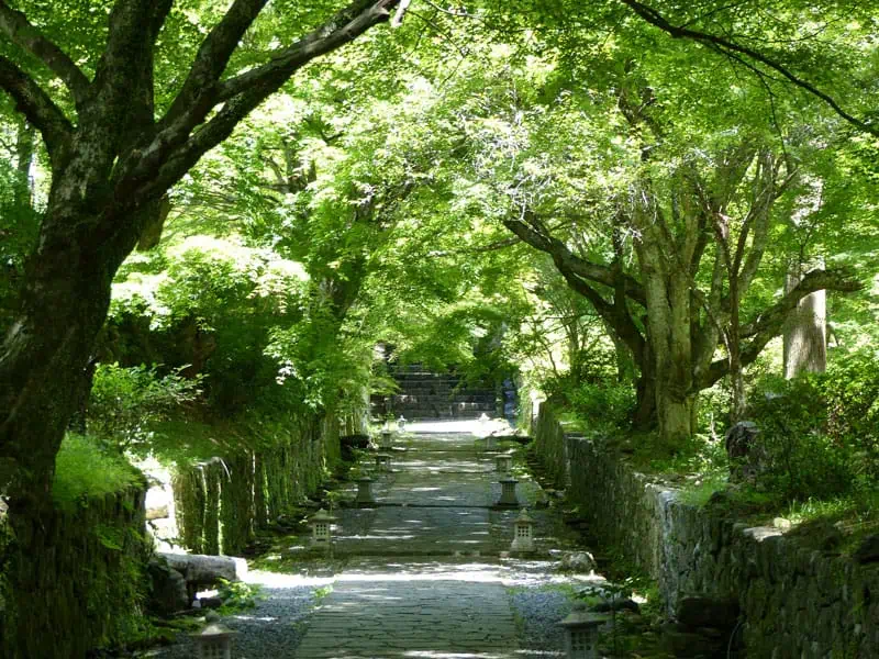 050 Japan ©Detlef Duering