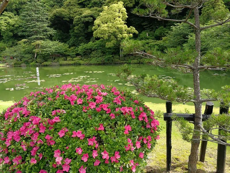 146 Japan ©Detlef Duering