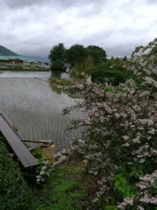 223 Japan ©Detlef Duering