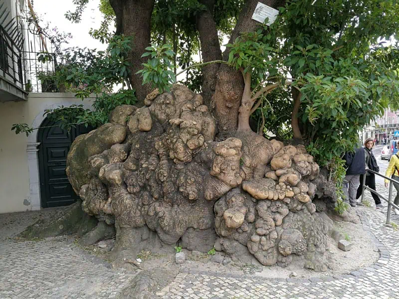 Lissabon Interrail ©Detlef Düring 068